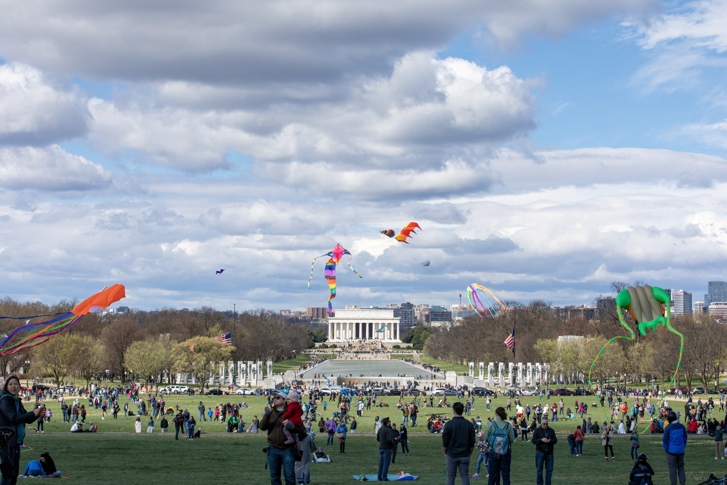 DA7A1323 - Washingtonian